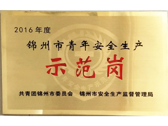 2016年度錦州市青年安全生產(chǎn)示範(fàn)崗