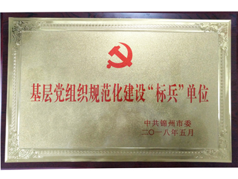 2018基層黨組織規(guī)範(fàn)化建設(shè)“標(biāo)兵”單位
