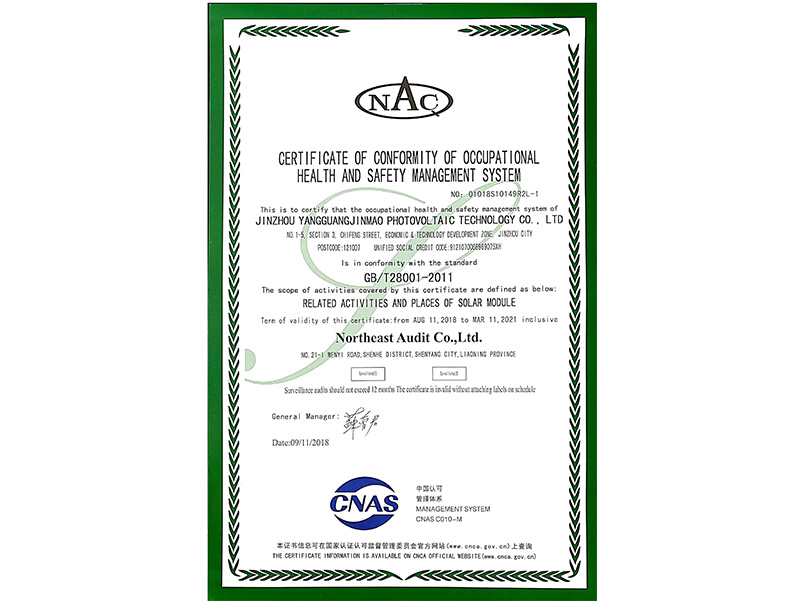 職業(yè)健康安全管理體系認(rèn)証証明書（英語）