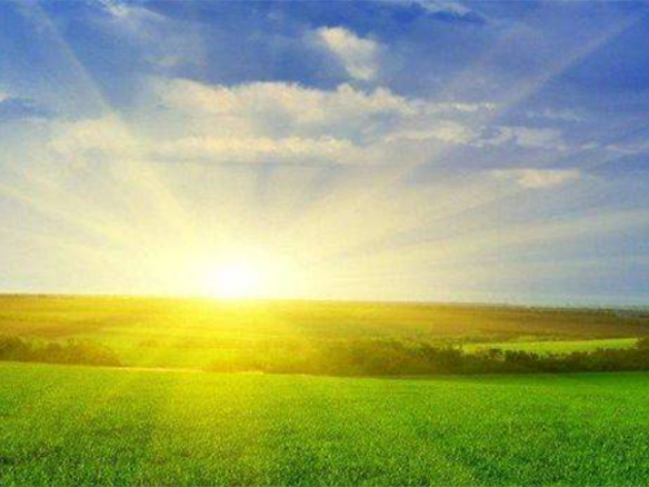 2020H1，錦州陽光戮力同心、運(yùn)營達(dá)滿產(chǎn)