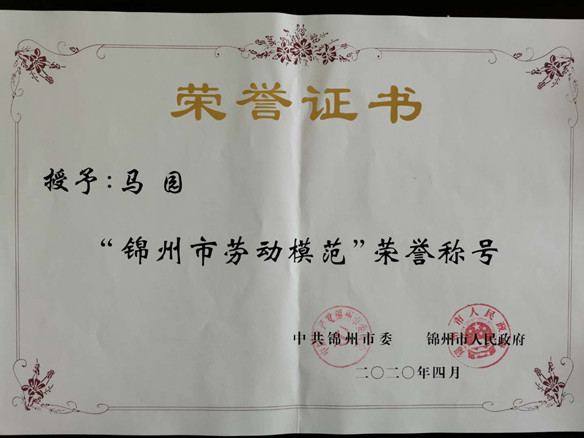 錦州陽(yáng)光能源有限公司國(guó)內(nèi)銷售部總監(jiān)馬園獲錦州市勞動(dòng)模範(fàn)