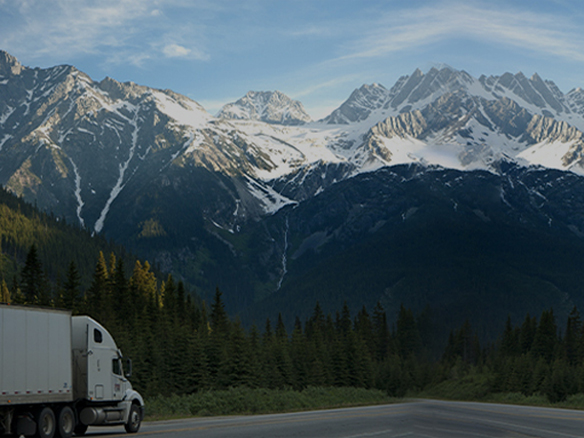 打造綠色典范工程！陽光能源助力中廣核新能源吉林白城項(xiàng)目順利開工