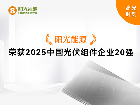 高光時(shí)刻 | 陽光能源實(shí)力登榜“2025中國光伏組件企業(yè)20強(qiáng)”